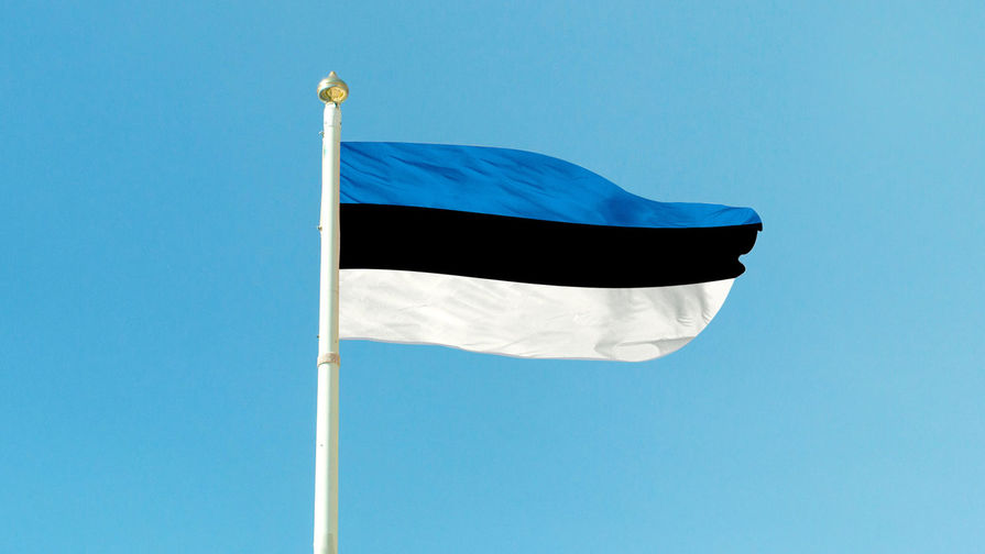 Эстония решила защитить суда от хуситов силами одного военного